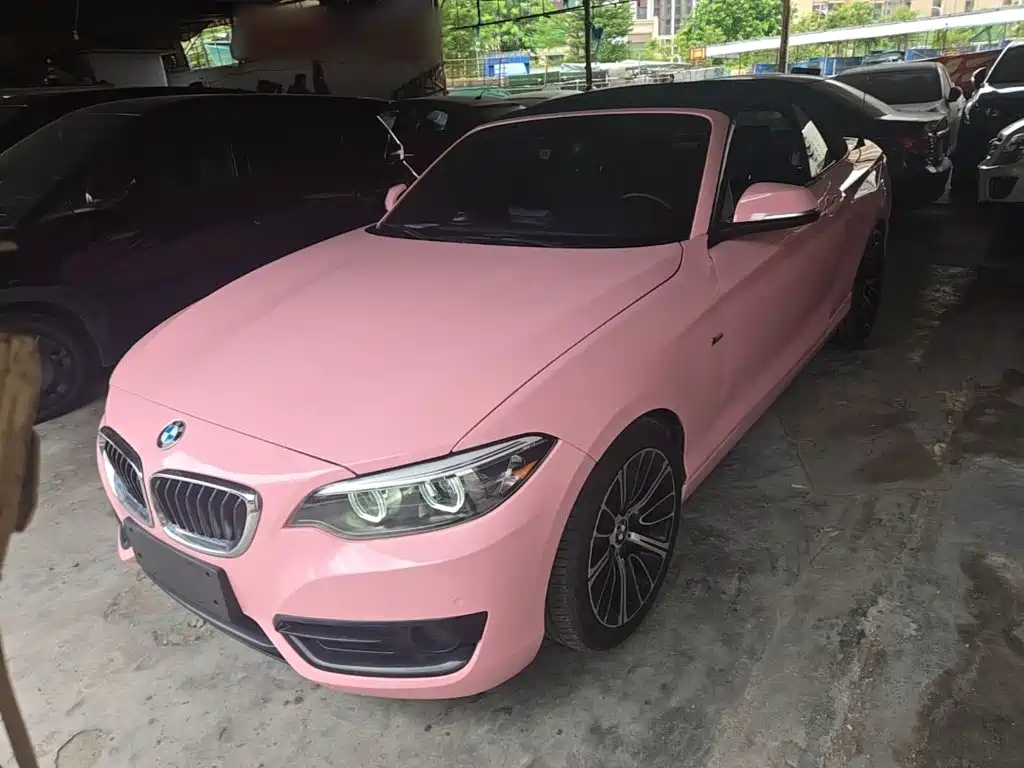 BMW 2 Series (Import) — фото 2
