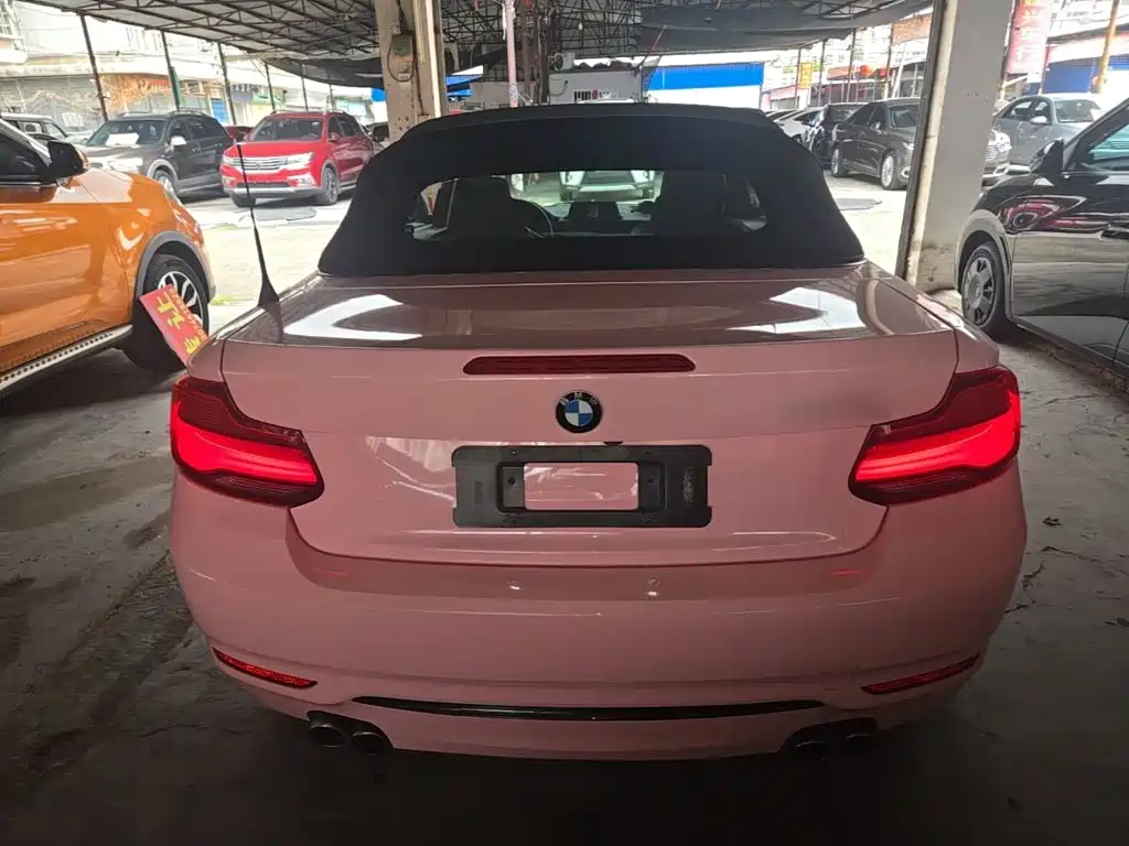 BMW 2 Series (Import) — фото 6