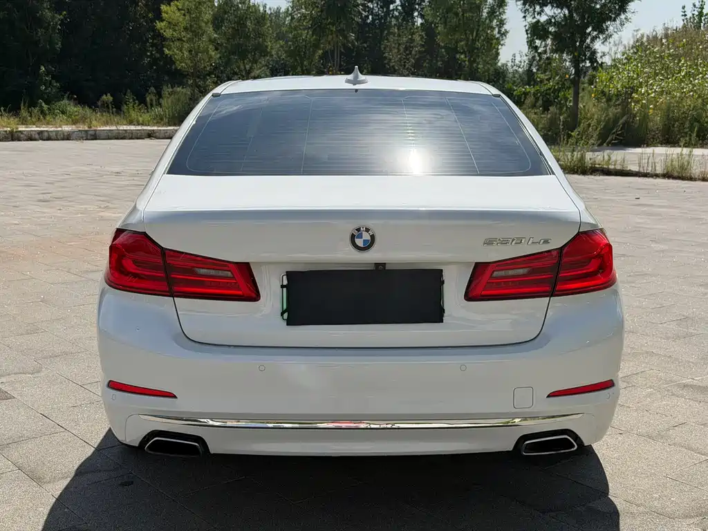 BMW 5 Series New Energy — фото 6