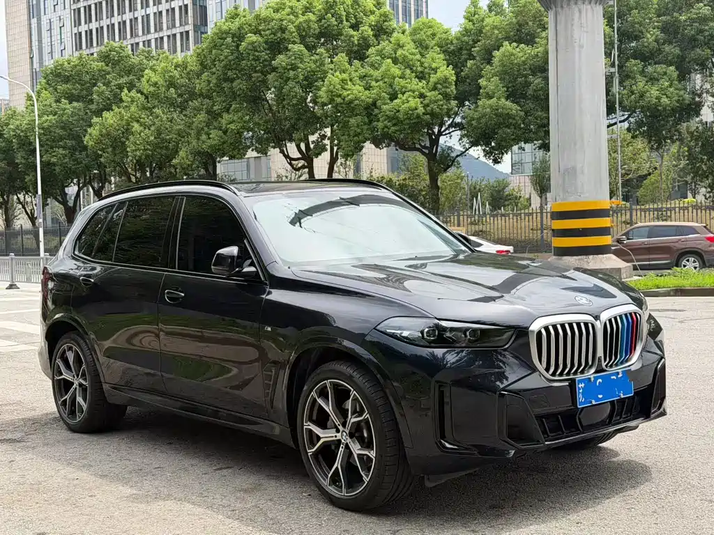 BMW X5 — фото 4