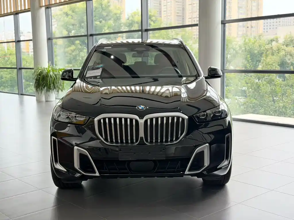 BMW X5 — фото 2