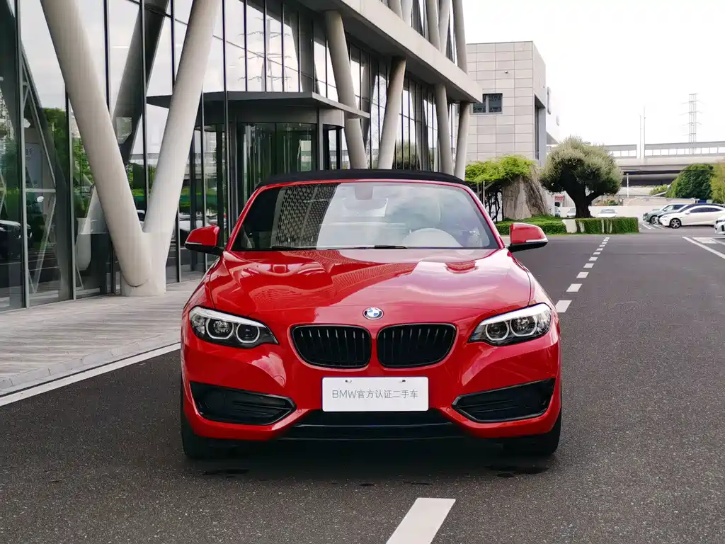 BMW 2 Series (Import) — фото 2