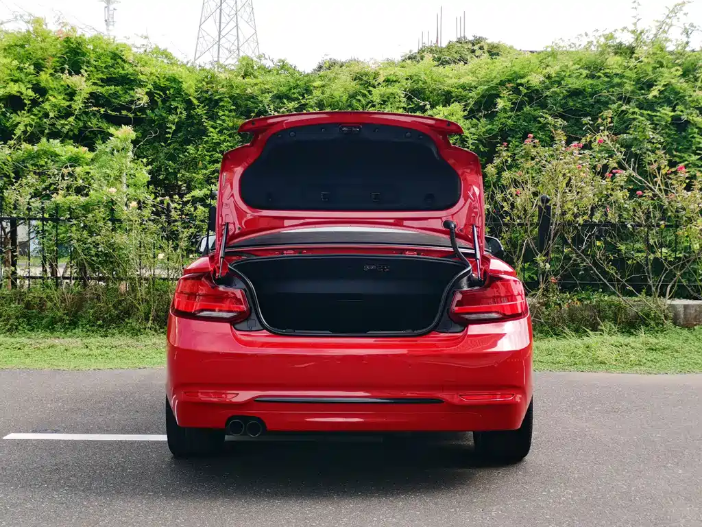 BMW 2 Series (Import) — фото 11