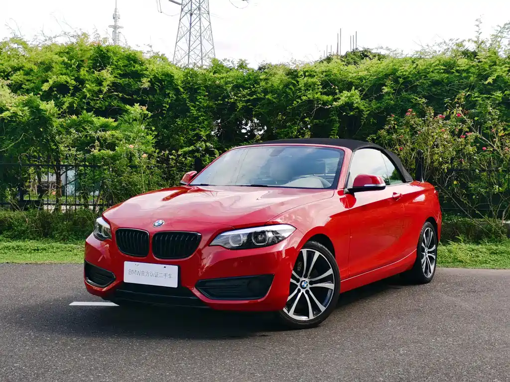 BMW 2 Series (Import) — фото 6