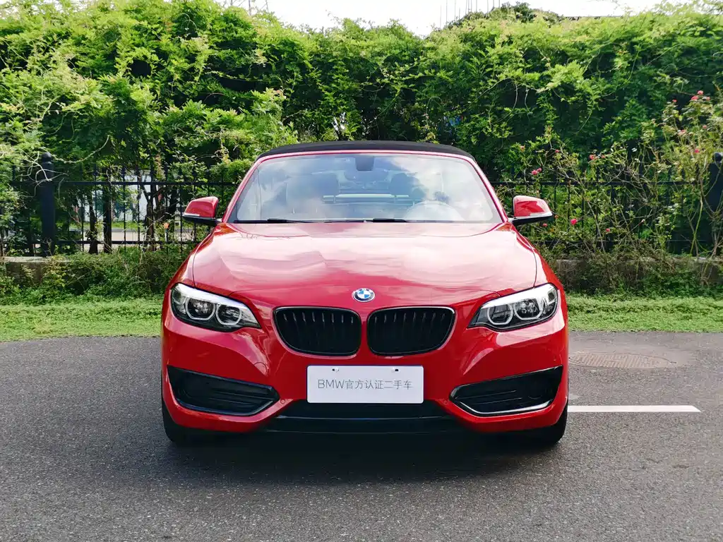 BMW 2 Series (Import) — фото 8