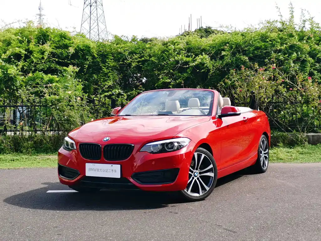 BMW 2 Series (Import) — фото 9