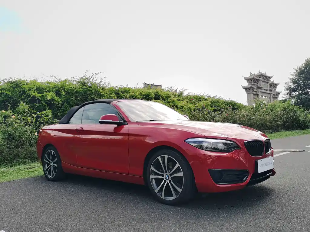 BMW 2 Series (Import) — фото 10