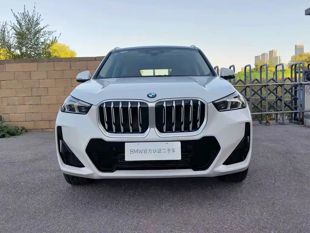 BMW X1 — фото 2