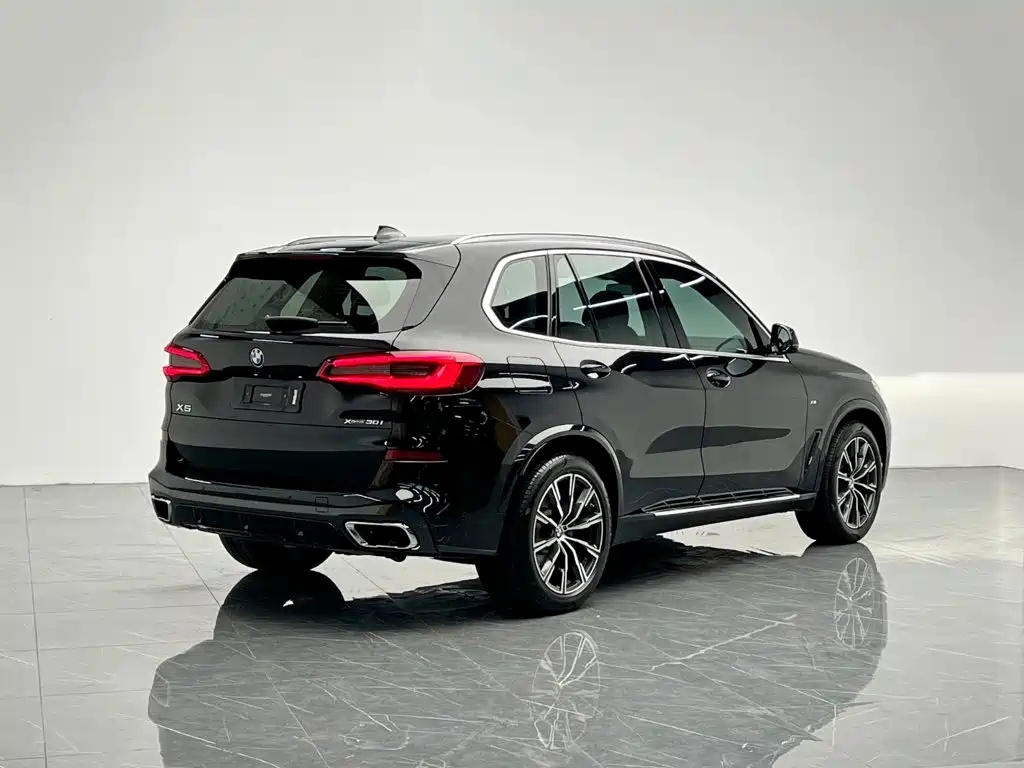 BMW X5 (Import) — фото 6