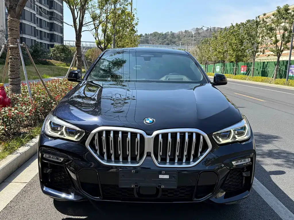 BMW X6 — фото 2