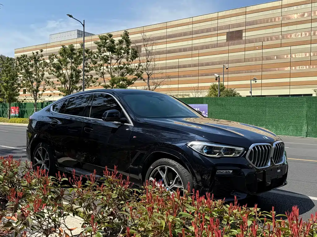 BMW X6 — фото 7