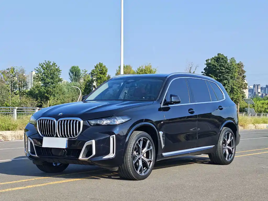 BMW X5 — фото 1