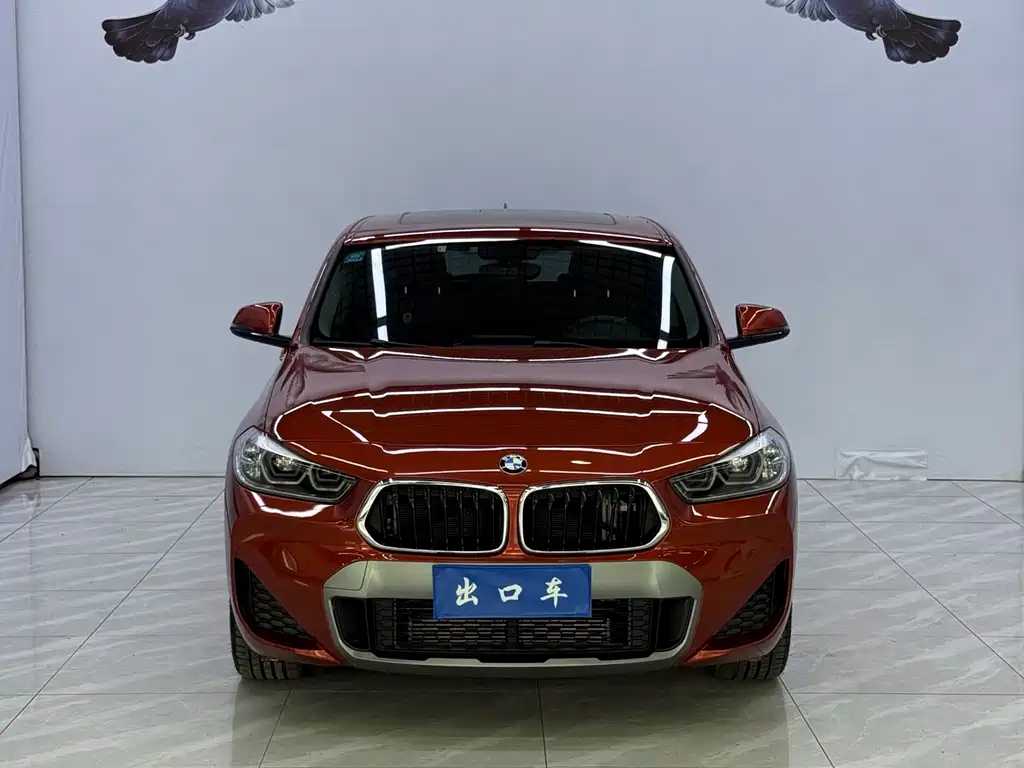 BMW X2 — фото 2