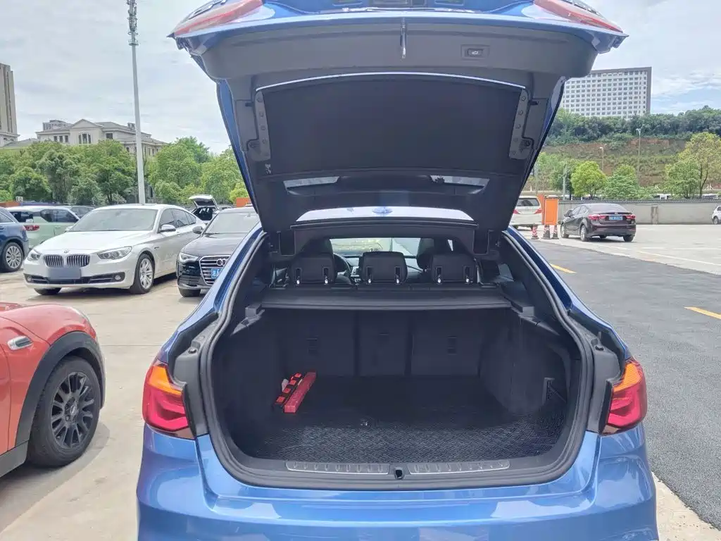 BMW 3 Series GT — фото 15