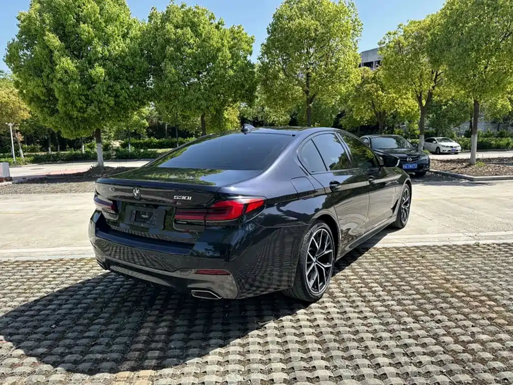 BMW 5 Series (Import) — фото 23