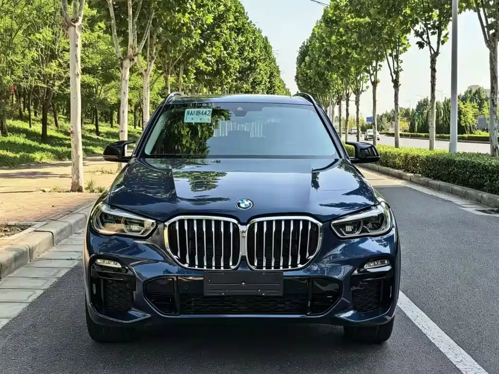BMW X5 (Import) — фото 2