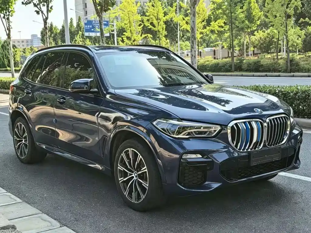 BMW X5 (Import) — фото 3