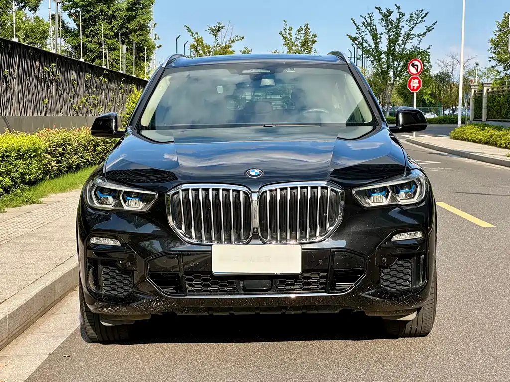 BMW X5 (Import) — фото 2