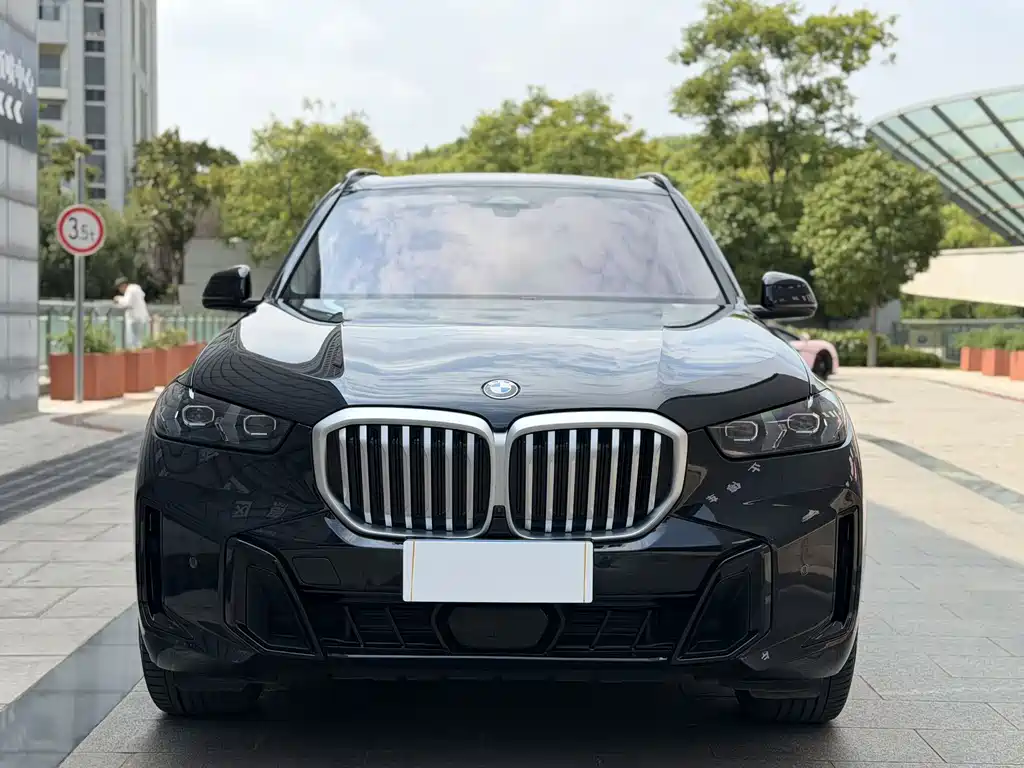 BMW X5 — фото 2