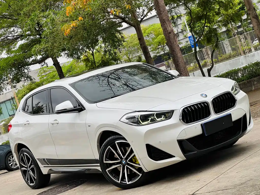 BMW X2 — фото 4