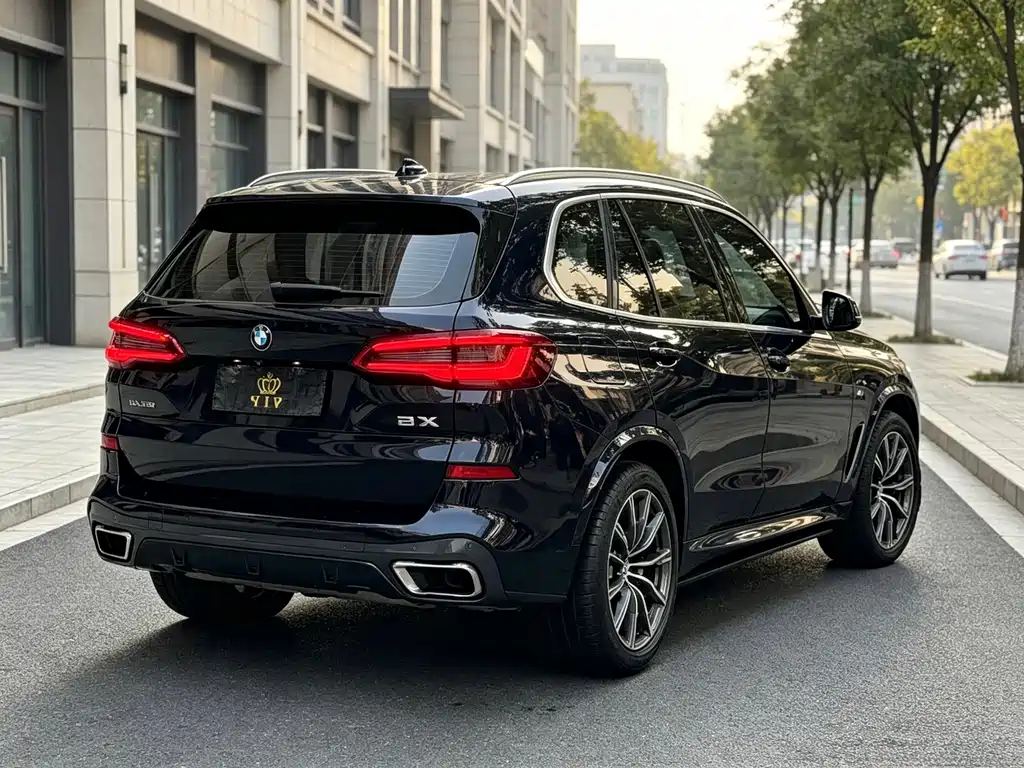 BMW X5 (Import) — фото 9
