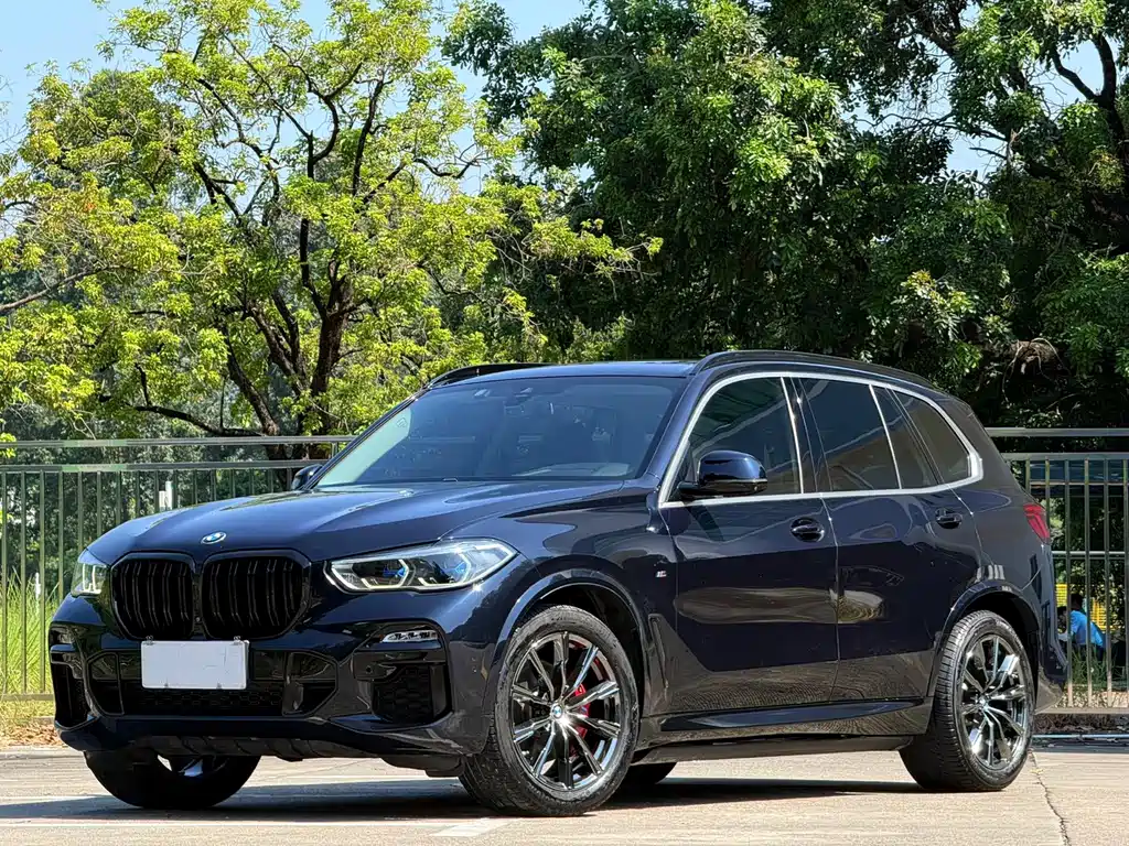 BMW X5 (Import) — фото 3
