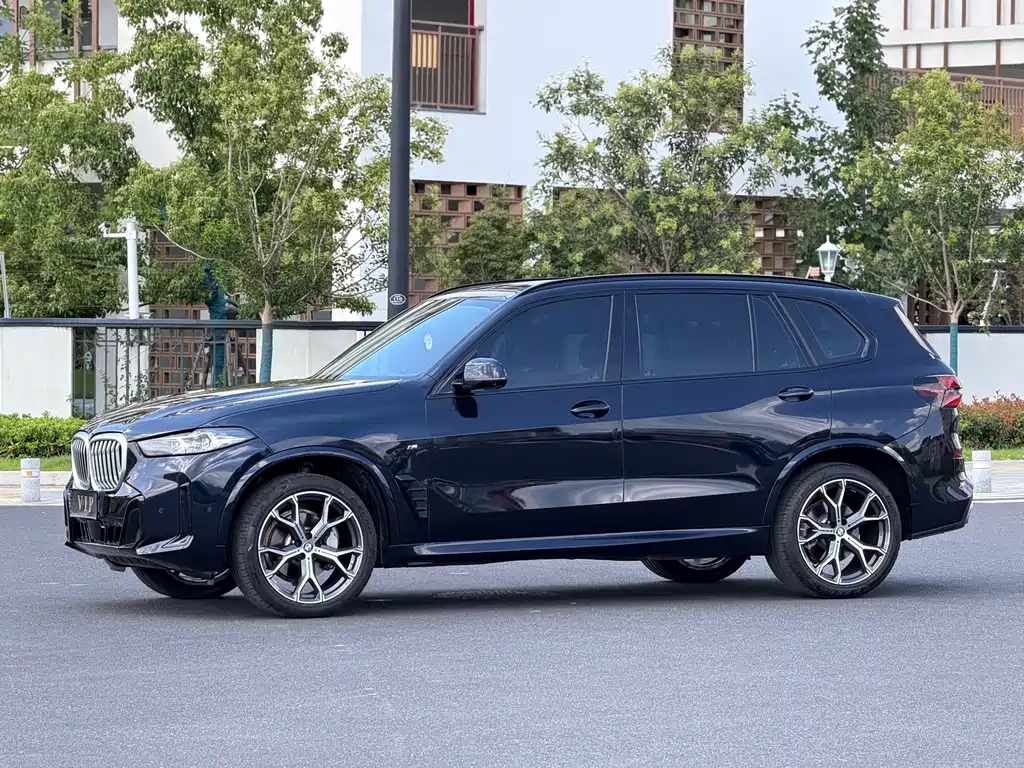 BMW X5 — фото 10