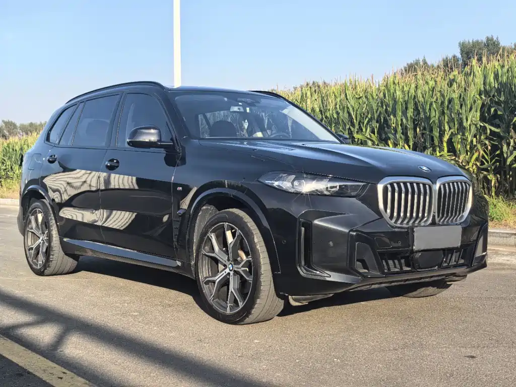 BMW X5 — фото 3