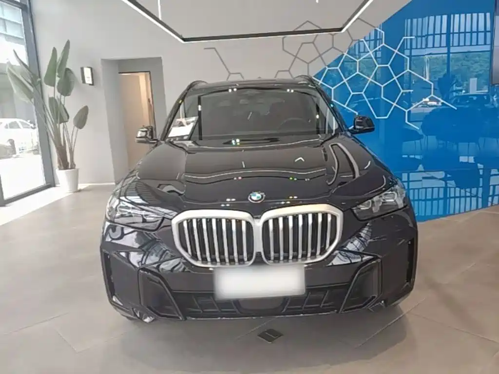 BMW X5 — фото 3