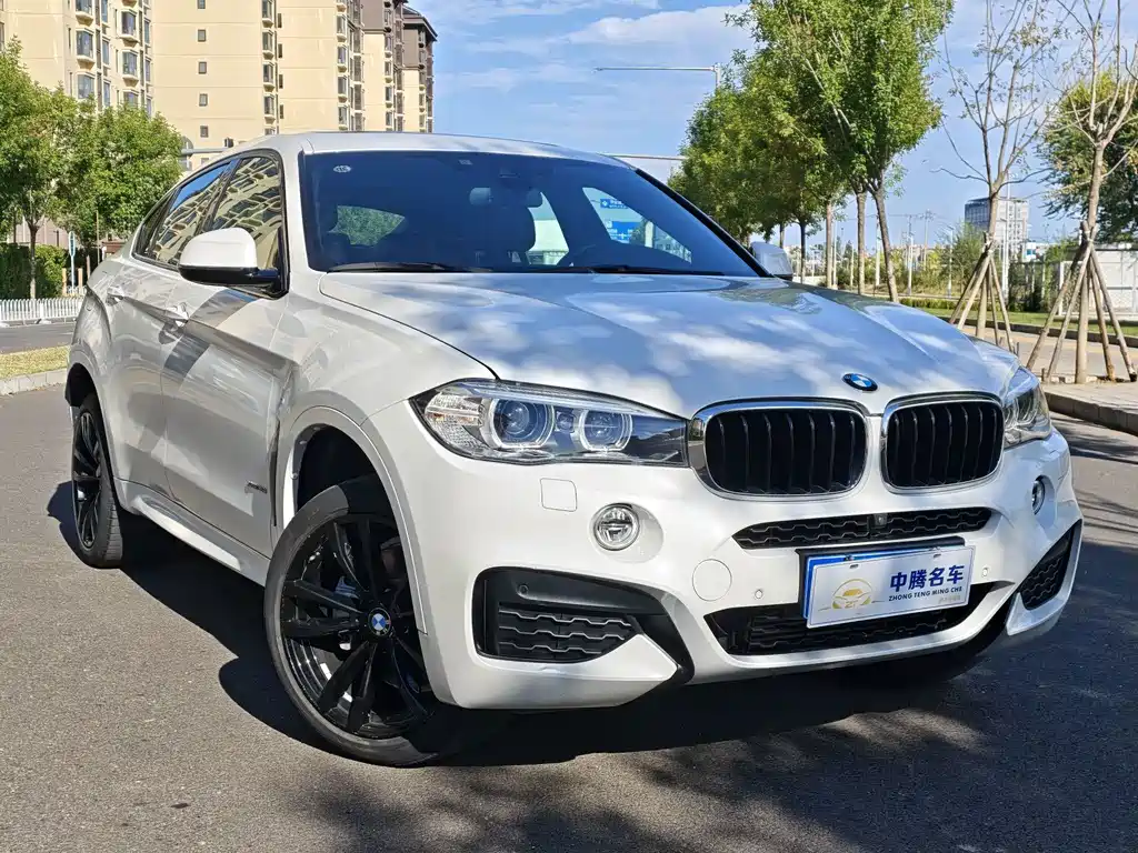 BMW X6 — фото 3