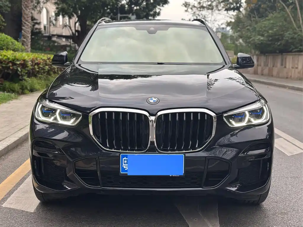 BMW X5 (Import) — фото 2