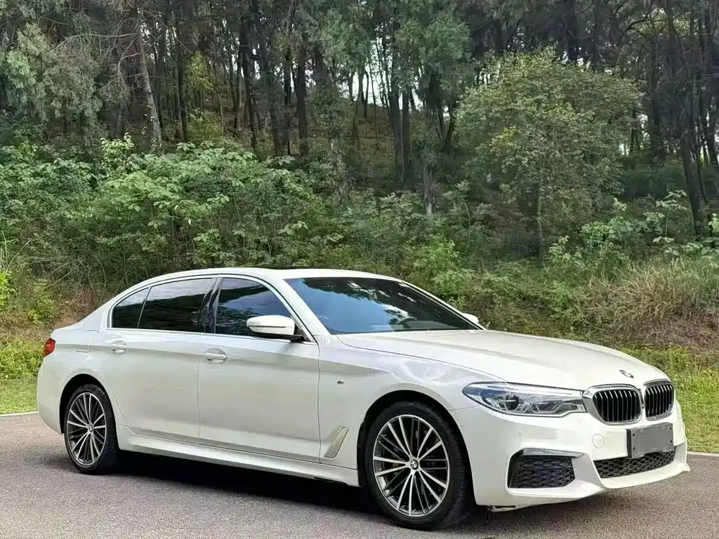 BMW 5 Series — фото 3