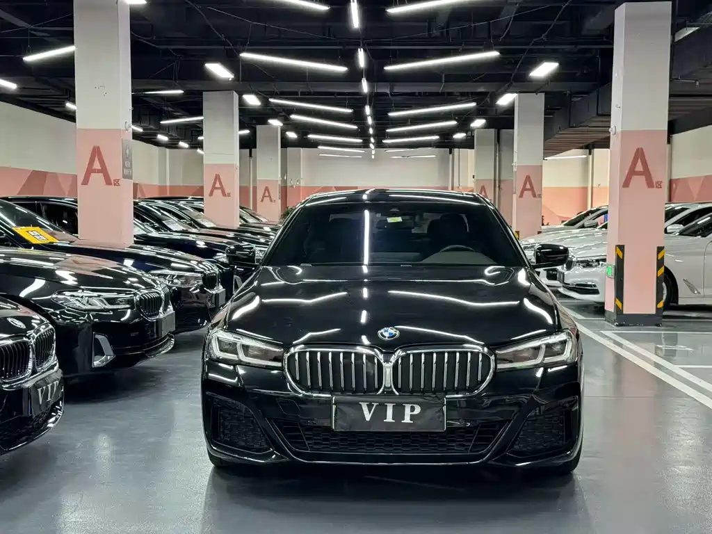 BMW 5 Series New Energy — фото 2