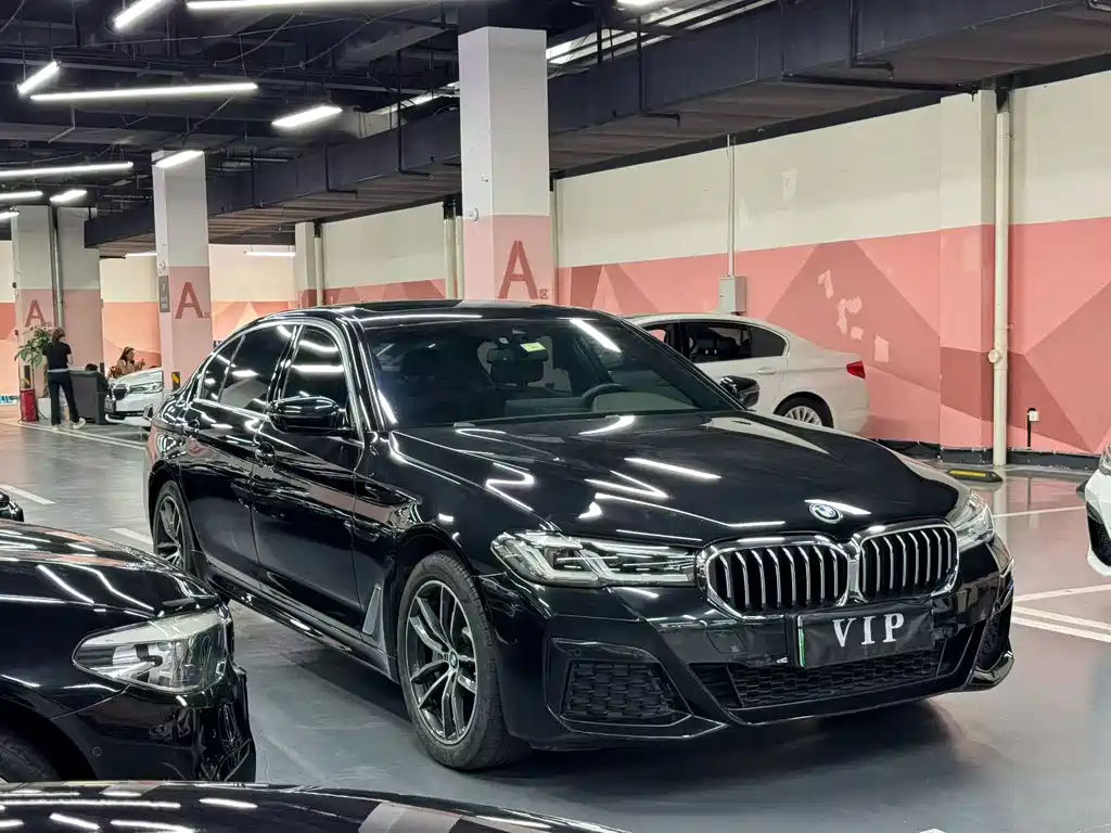 BMW 5 Series New Energy — фото 3
