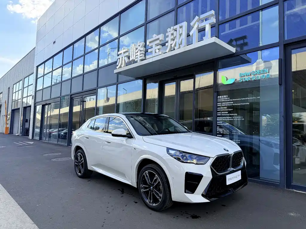 BMW X2 (Import) — фото 3