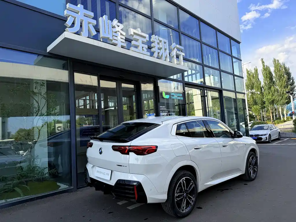 BMW X2 (Import) — фото 4
