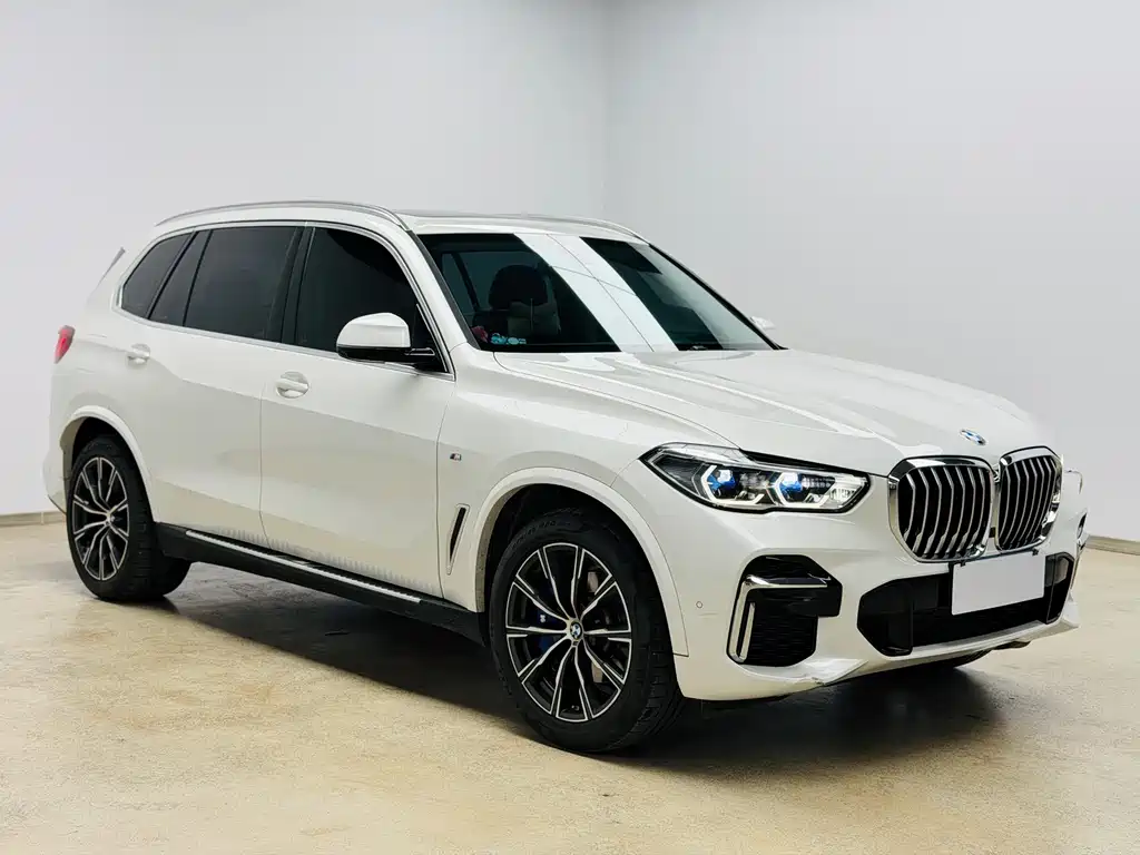 BMW X5 — фото 3