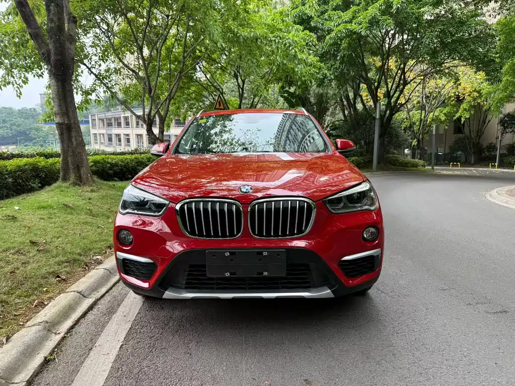 BMW X1 — фото 2