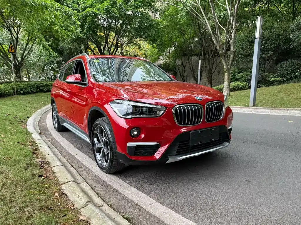 BMW X1 — фото 3
