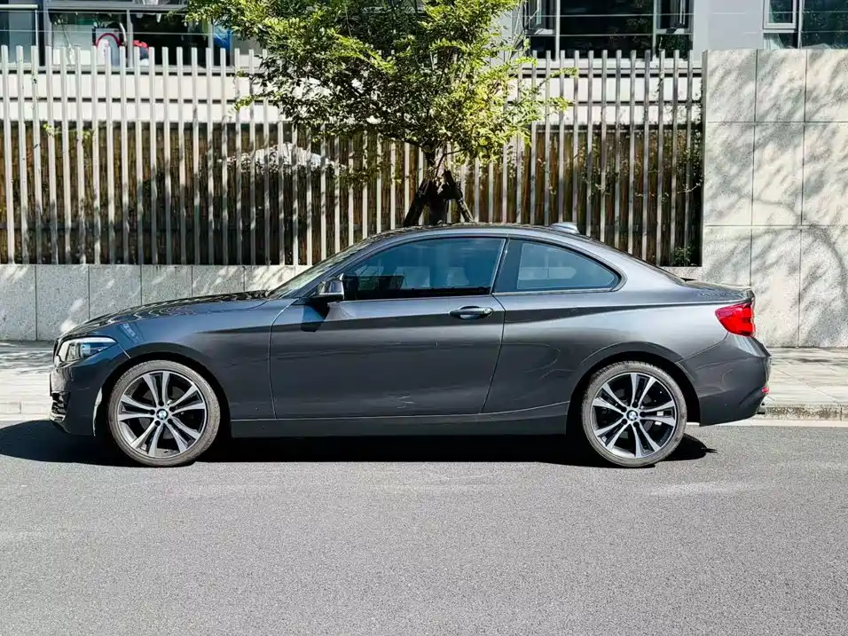 BMW 2 Series (Import) — фото 2