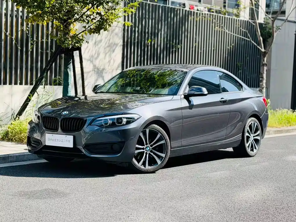 BMW 2 Series (Import) — фото 4