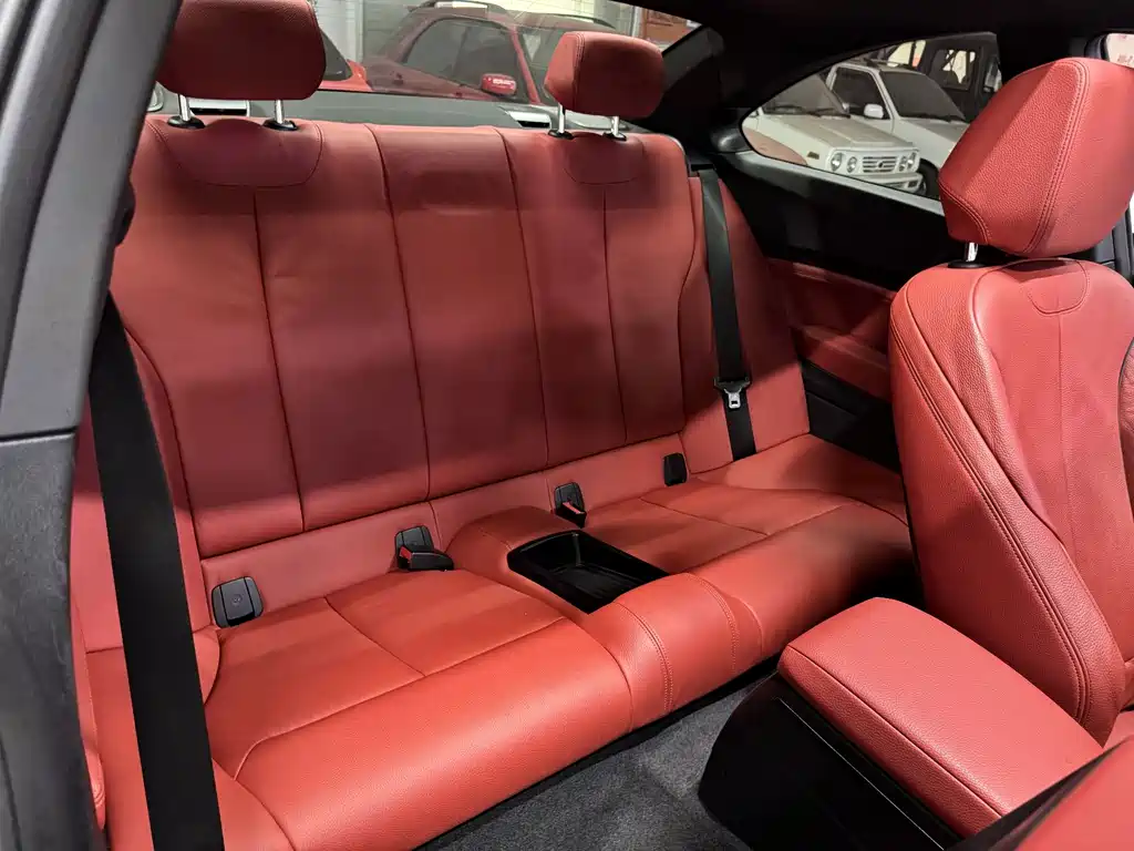 BMW 2 Series (Import) — фото 19
