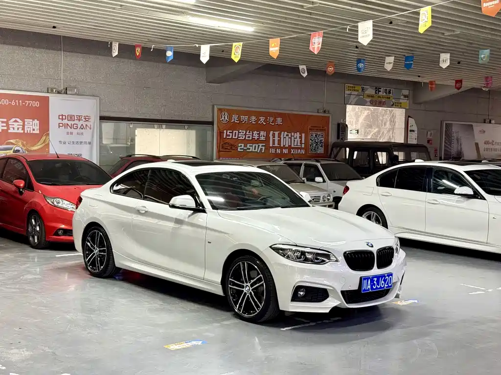 BMW 2 Series (Import) — фото 4