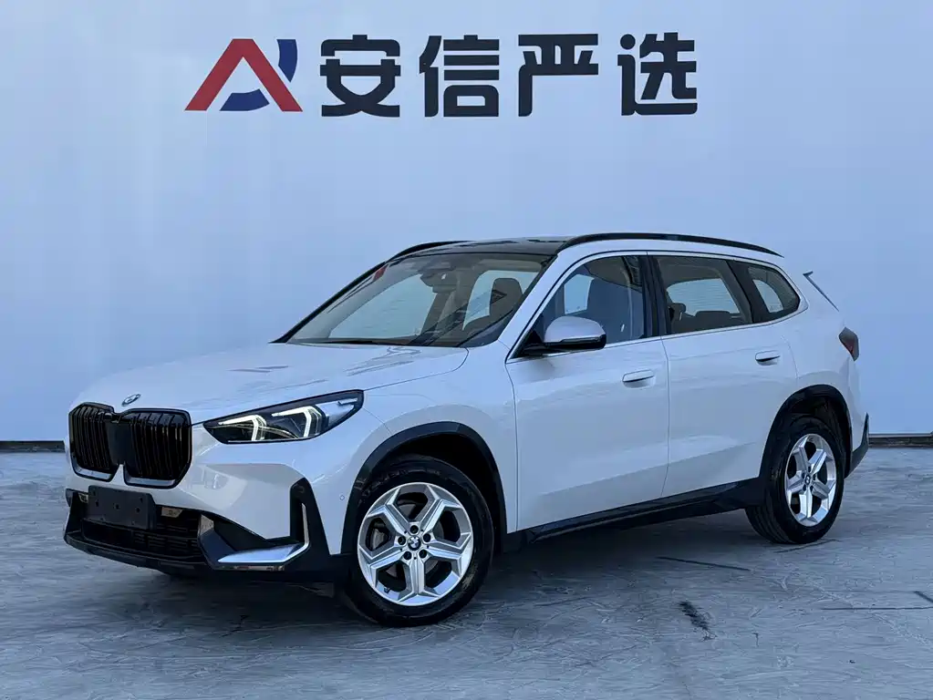 BMW X1 — фото 1