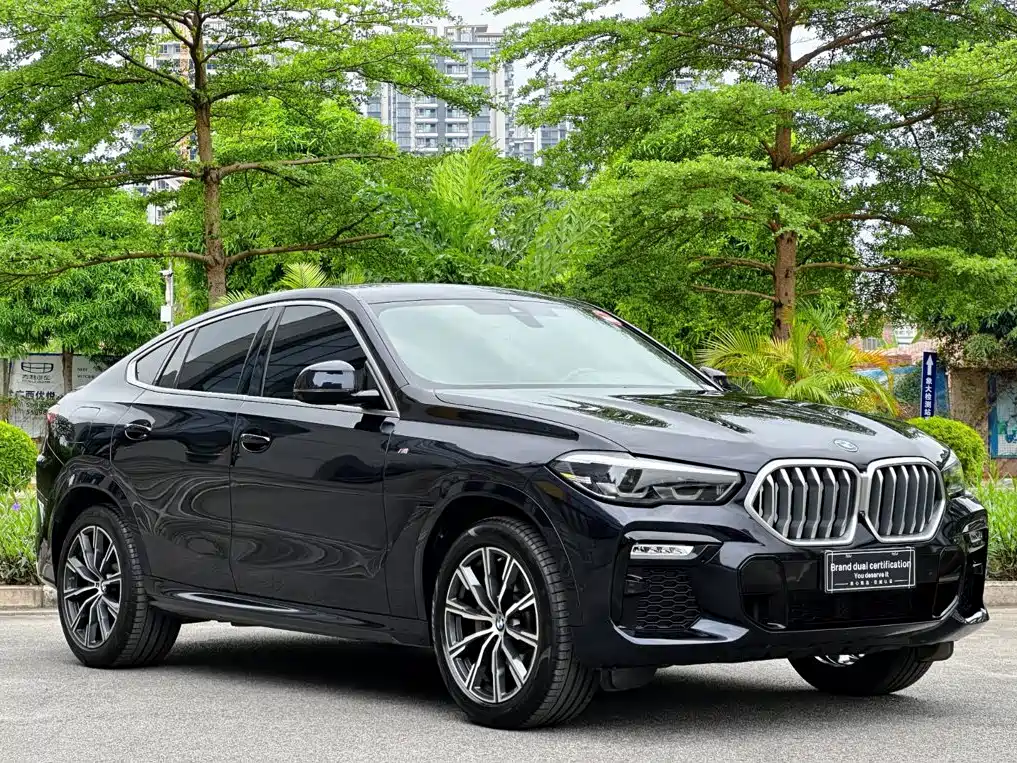 BMW X6 — фото 4