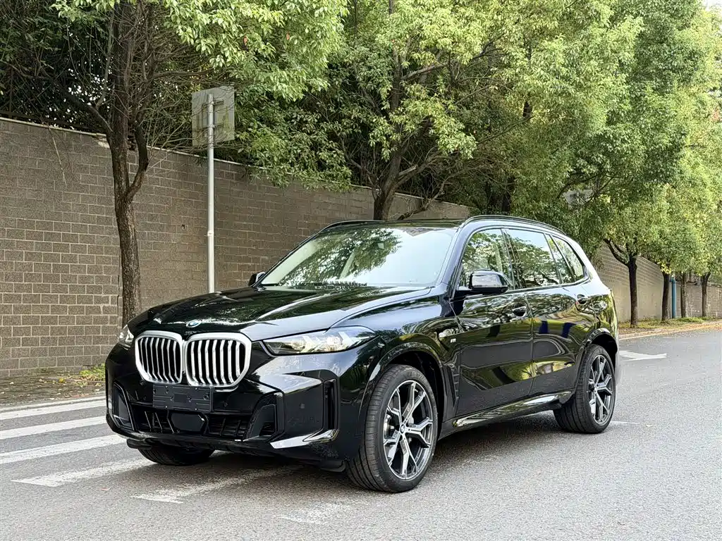 BMW X5 — фото 2