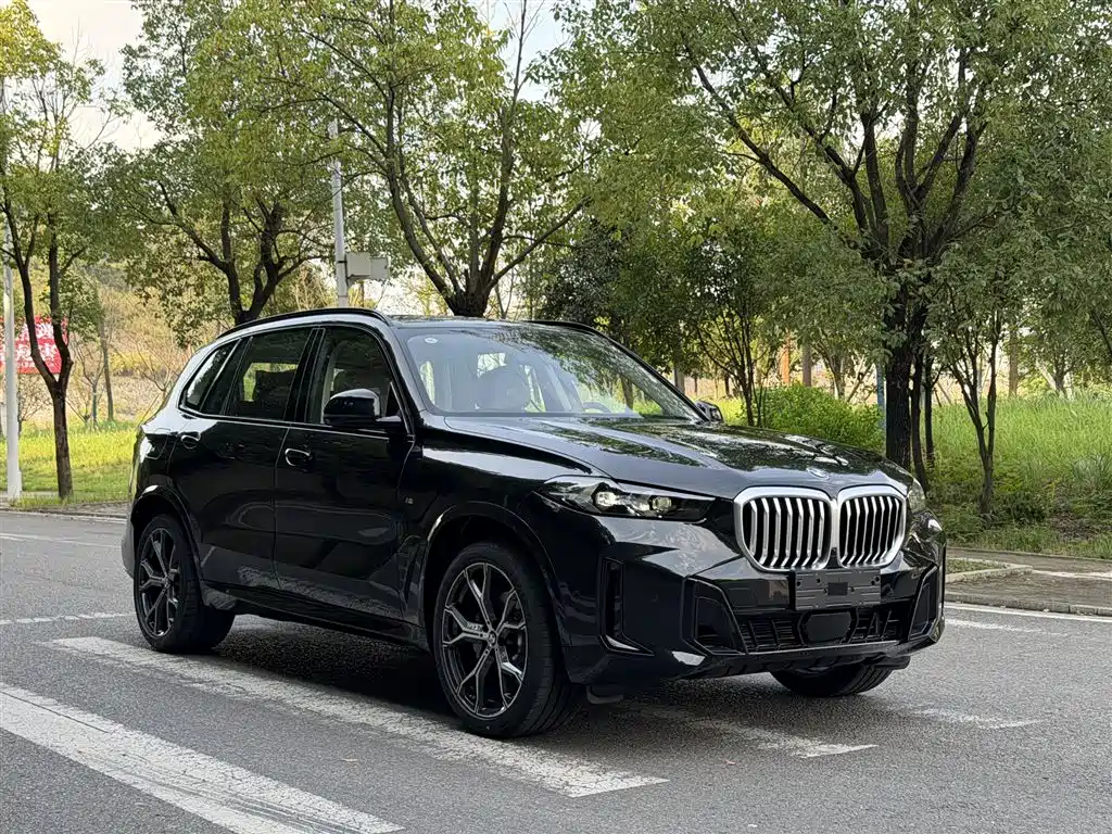 BMW X5 — фото 4