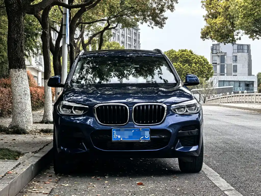 BMW X3 — фото 2