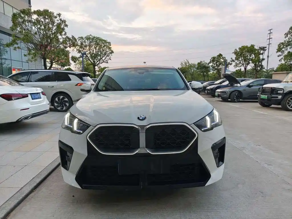 BMW X2 (Import) — фото 2