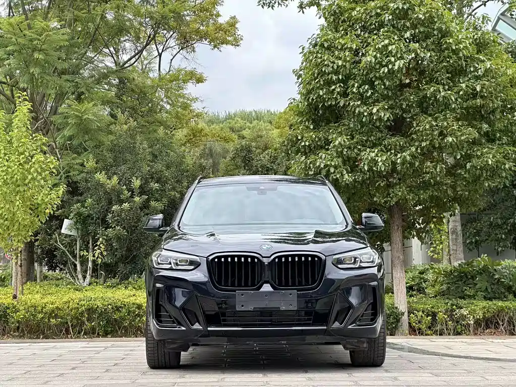 BMW X3 — фото 2